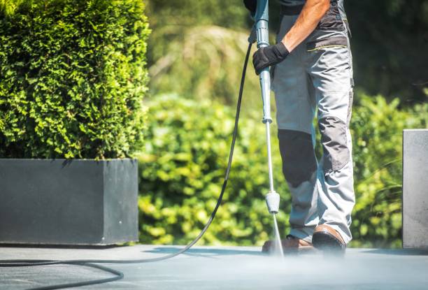 Best Roof Washing  in Bowleys Quarters, MD